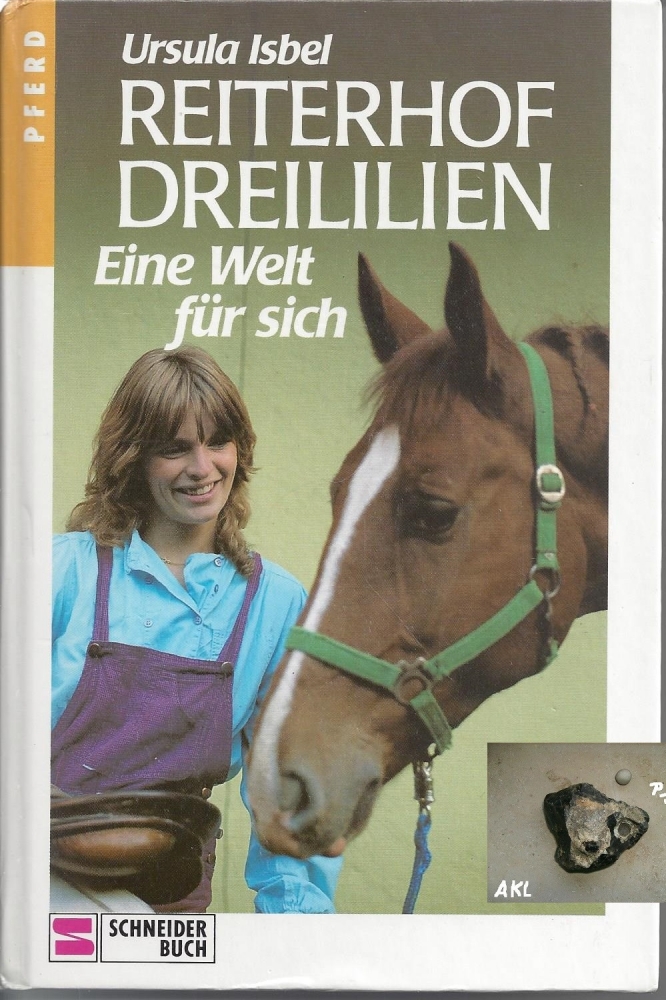 Bild 1 von Reiterhof Dreililien, Eine Welt für sich, Ursula Isbel, Schneiderbuch