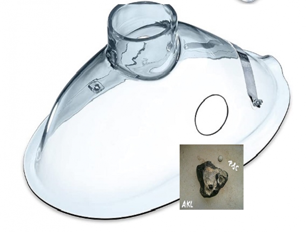 Bild 1 von Maske für Erwachsene, Ersatzteil für Emser Inhalator Compact