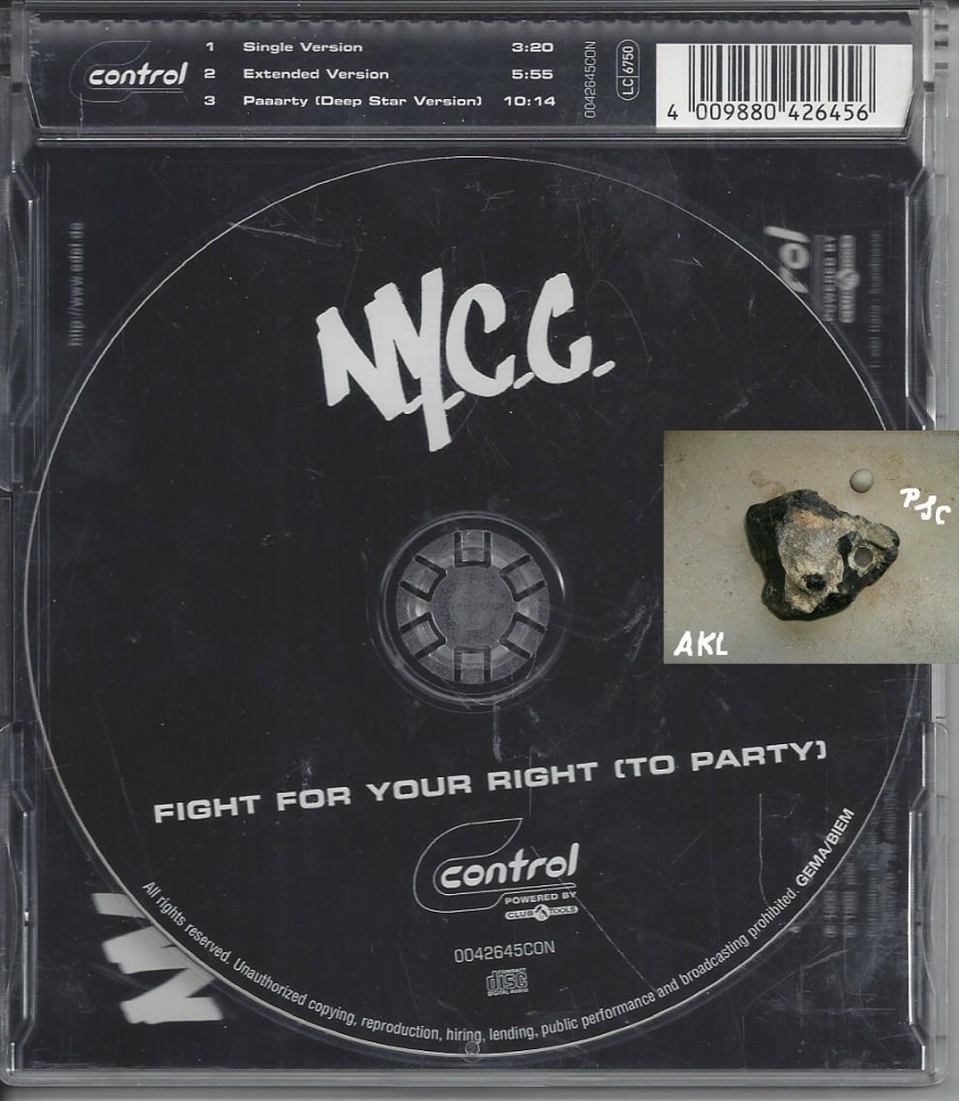 Bild 1 von Fight for your Right, To Party, Nycc, Maxi CD ✔️