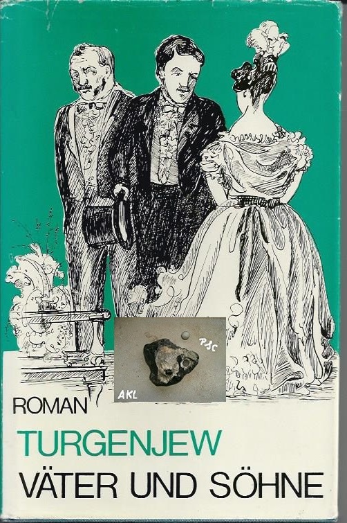Bild 1 von Väter und Söhne, Iwan Turgenjew, Emil Vollmer Verlag Wiesbaden ✔️
