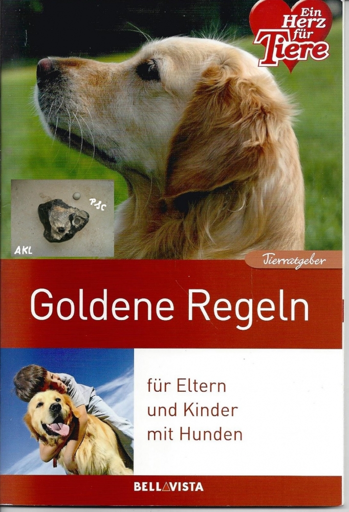 Bild 1 von Goldene Regeln für Eltern und Kinder mit Hunden
