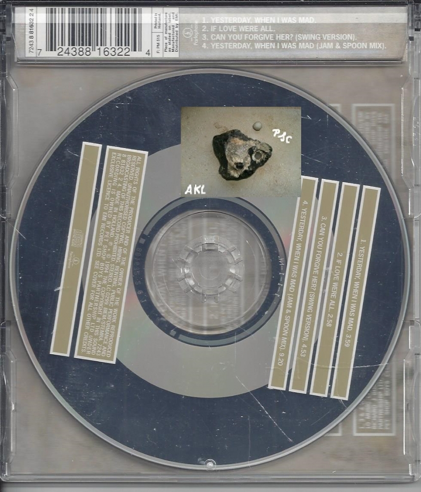 Bild 1 von Pet Shop Boys, Yesterday when i was mad, Maxi CD