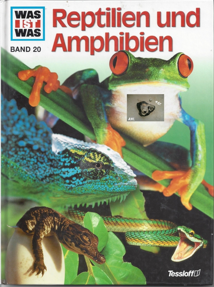 Bild 1 von Was ist was, Reptilien und Amphibien, Band 20, Tessloff
