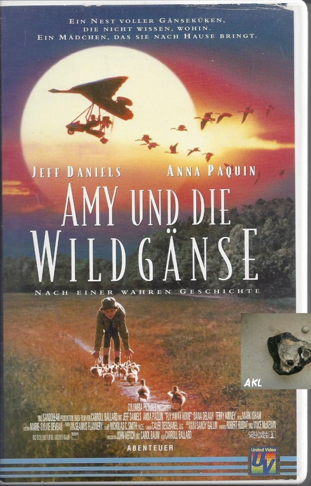 Bild 1 von Amy und die Wildgänse nach einer wahren Geschichte, VHS
