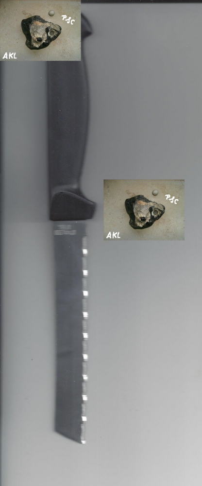 Bild 1 von Brötchenmesser, Küchenmesser, Stainless Steel