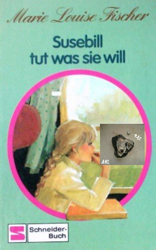 Bild 1 von Susebill tut was sie will, Marie Louise Fischer, Schneiderbuch