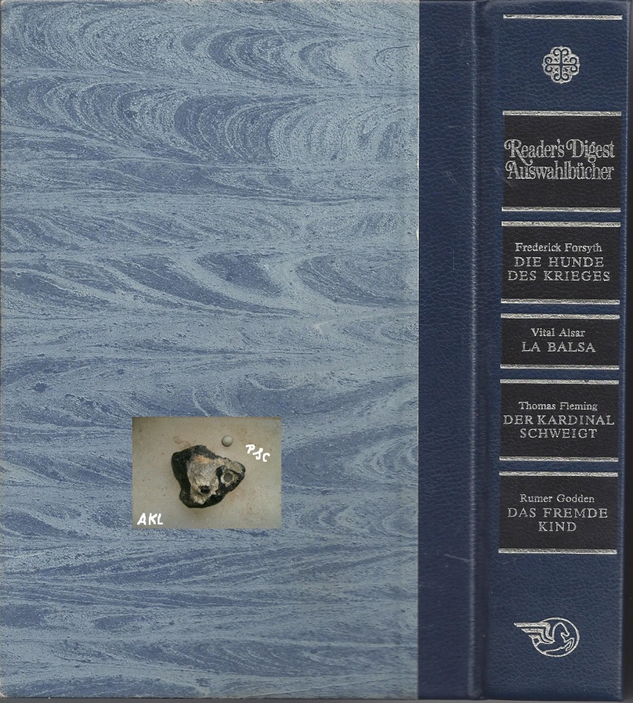 Bild 1 von Die Hunde des Krieges, La Balsa, Der Kardinal Schweiot, Das fremde Kind 💎