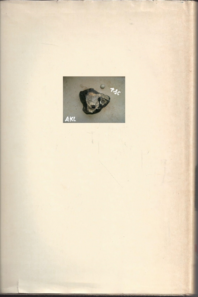 Bild 1 von Das Dorf auf dem Mond, Karol K. Martyn, Pallotti 💎