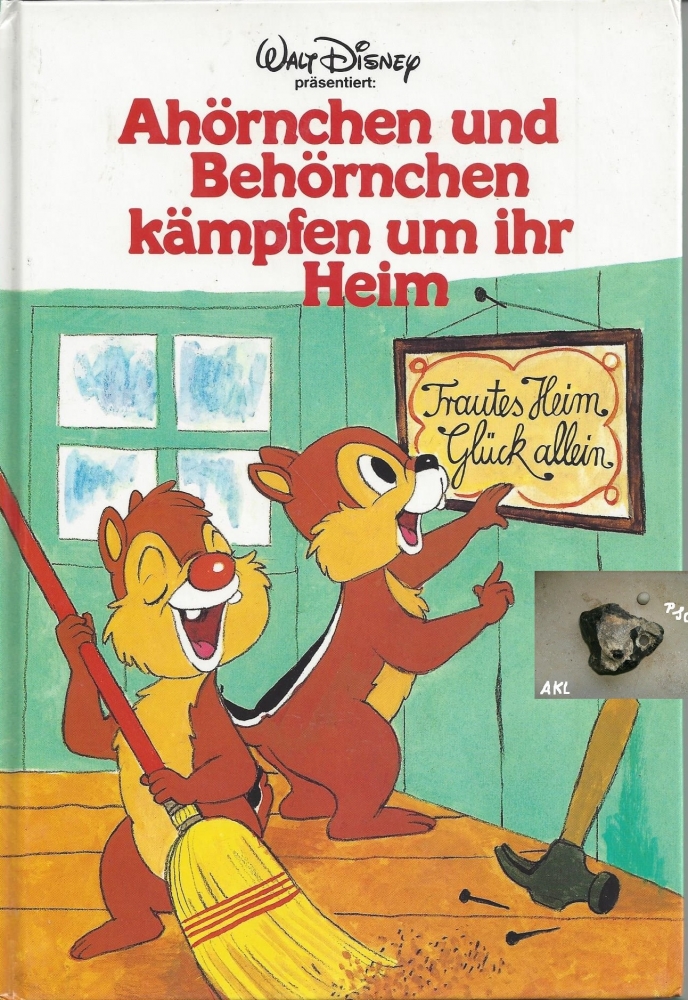 Bild 1 von Ahörnchen und Behörnchen kämpfen um ihr Heim, Walt Disney 💎