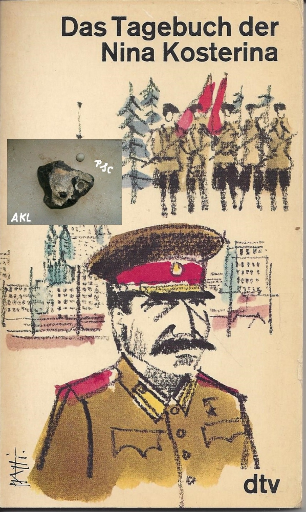 Bild 1 von Das Tagebuch der Nina Kosterina