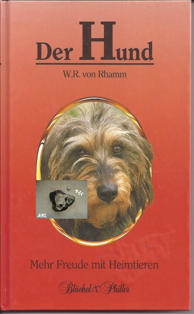 Bild 1 von Der Hund, W. R. von Rhamm, Mehr Freude mit Heimtieren