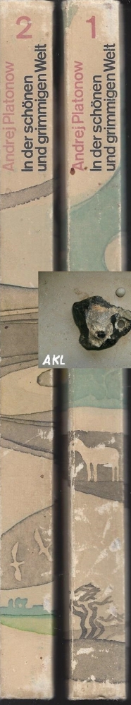 Bild 1 von In der schönen und grimmigen Welt, Andrej Platonow, Band 1 und 2 💎