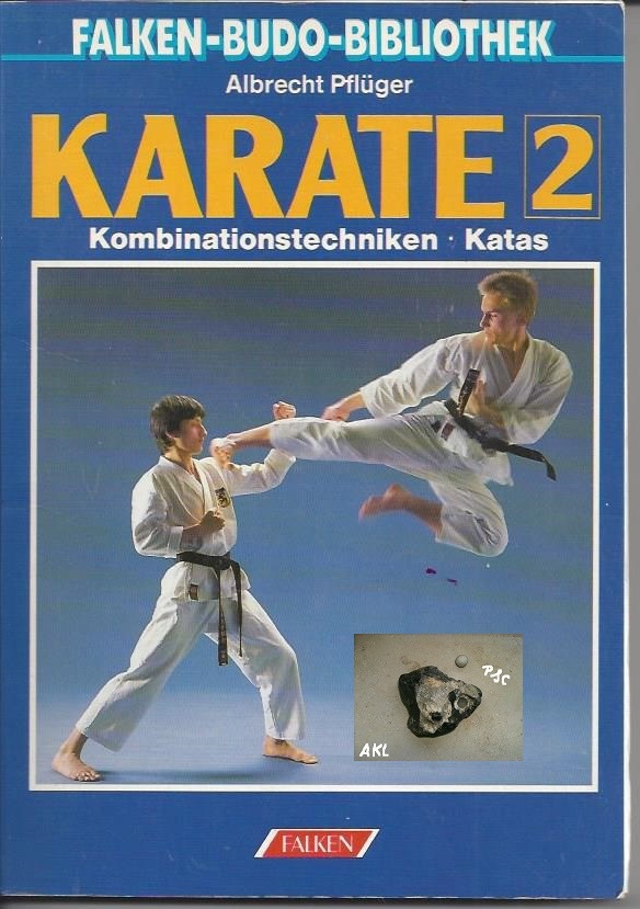 Bild 1 von Karate 2, Kombinationstechniken