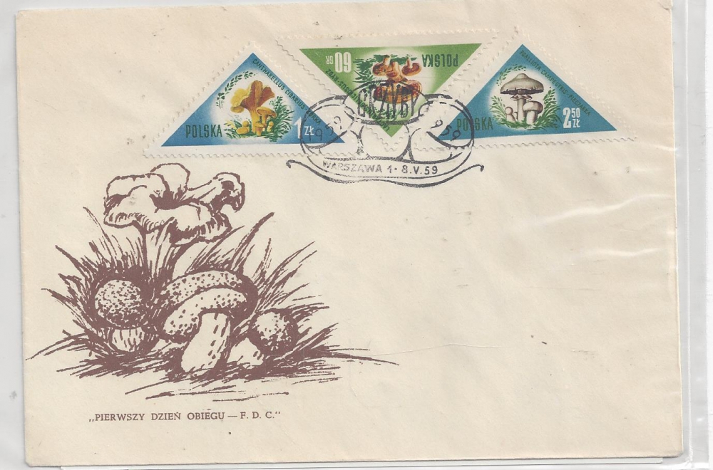 Bild 1 von Ersttagsbrief FDC Polska, 08.05.1959, Brief gestempelt