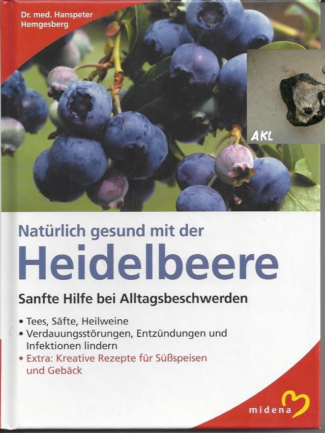 Bild 1 von Natürlich gesund mit der Heidelbeere, Hemgesberg