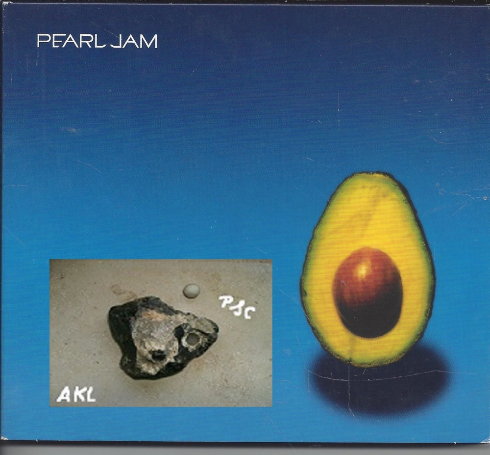 Bild 1 von Pearl Jam, Life wasted, CD