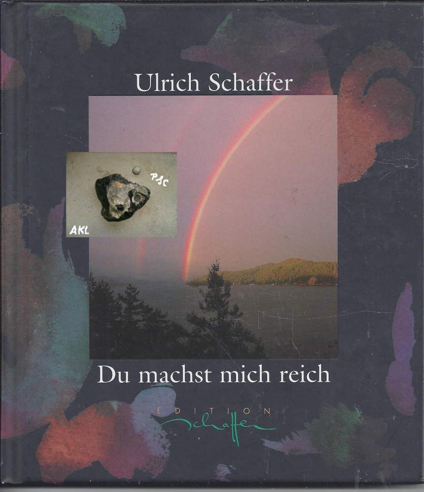 Bild 1 von Du machst mich reich, Ulrich Schaffer