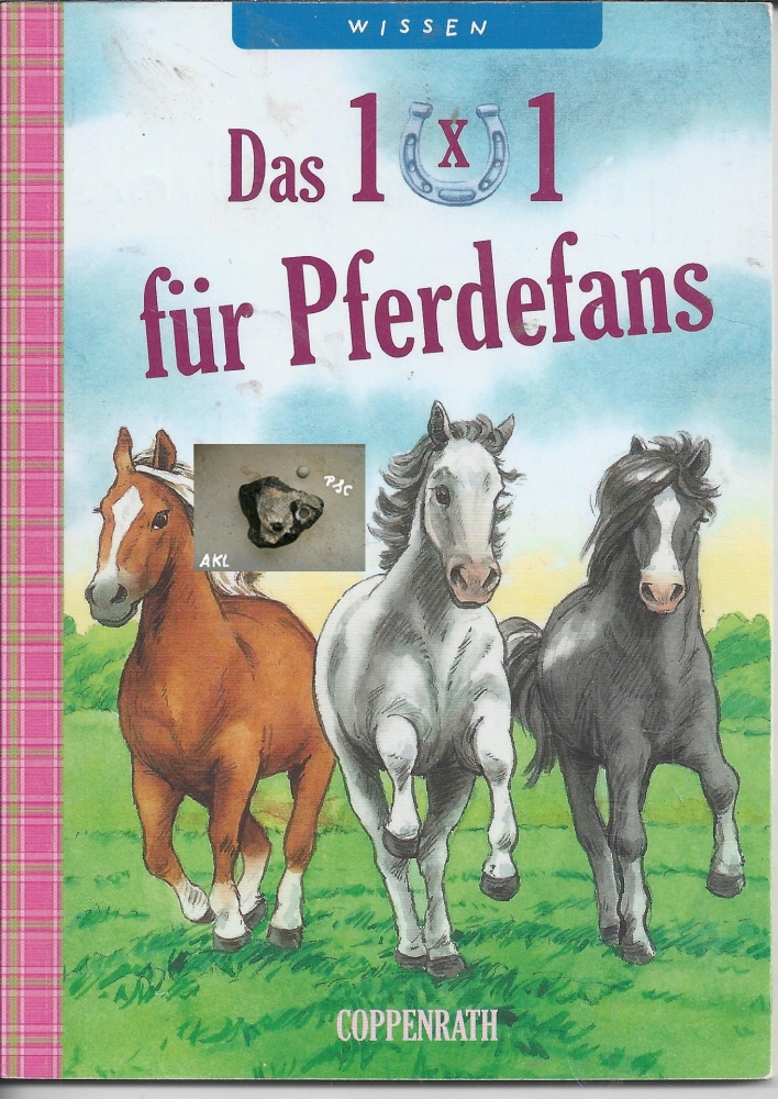 Bild 1 von Das 1 x 1 für Pferdefans, Minibuch