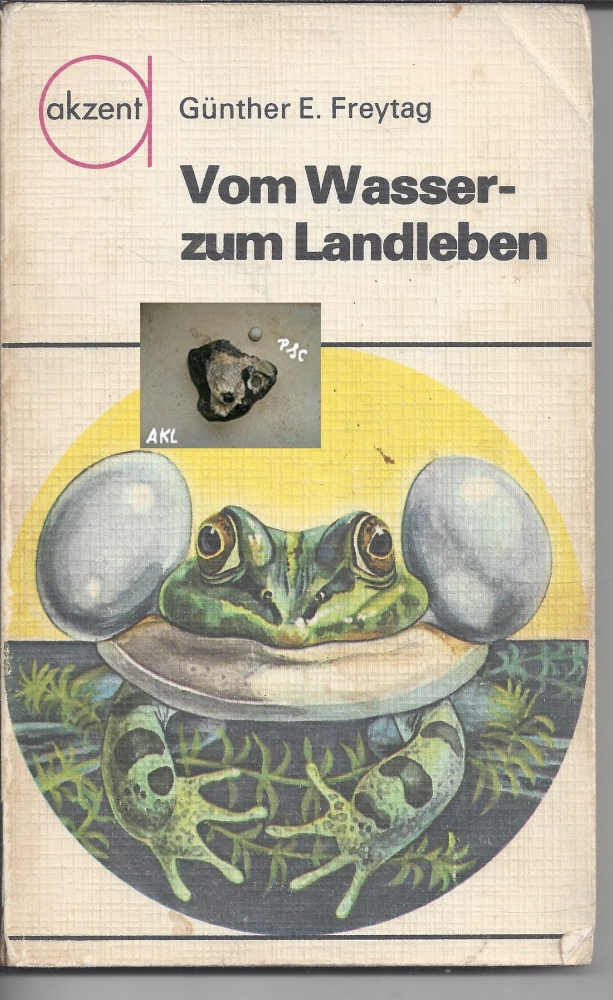 Bild 1 von Vom Wasser zum Landleben, Günther E. Freytag, akzent