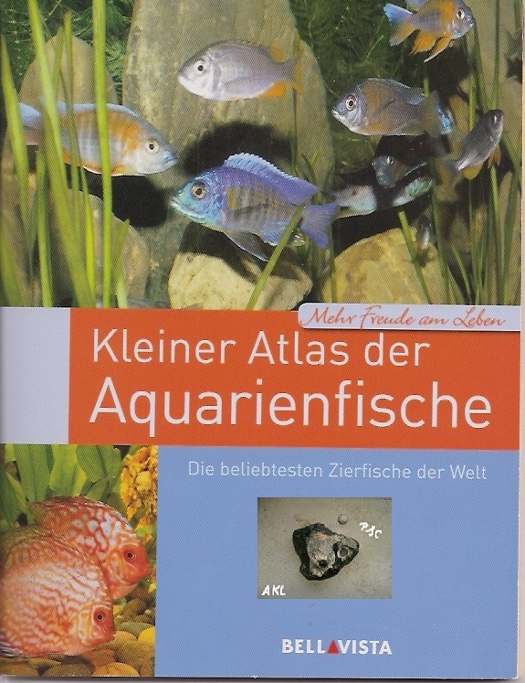 Bild 1 von Kleiner Atlas der Aquarienfische, beliebtesten Zierfische, Heft