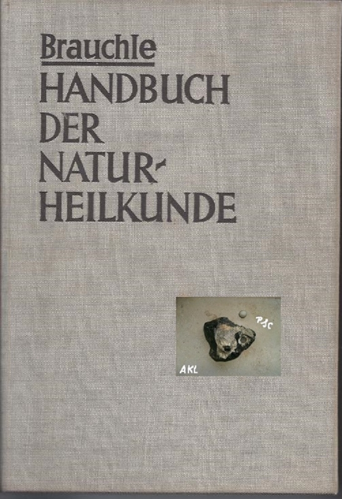 Bild 1 von Handbuch der Naturheilkunde, Brauchle