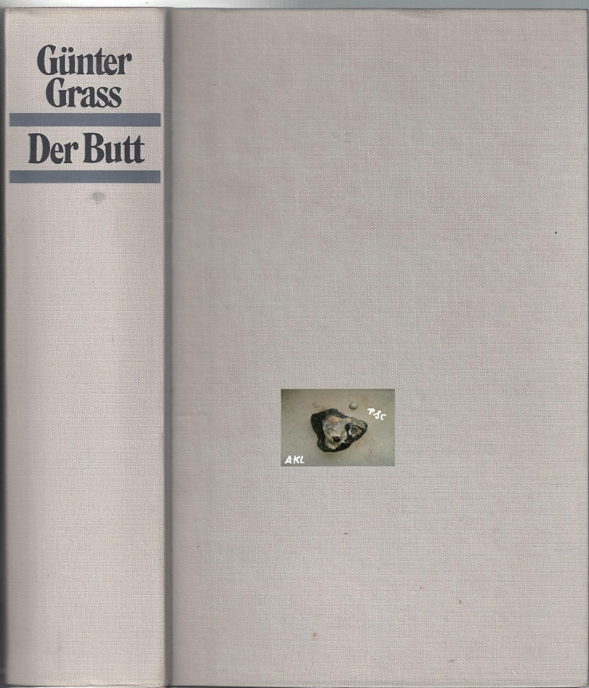 Bild 1 von Der Butt, Günter Grass
