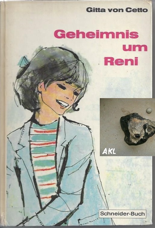 Bild 1 von Geheimnis um Reni, Gitta von Cetto, Schneiderbuch