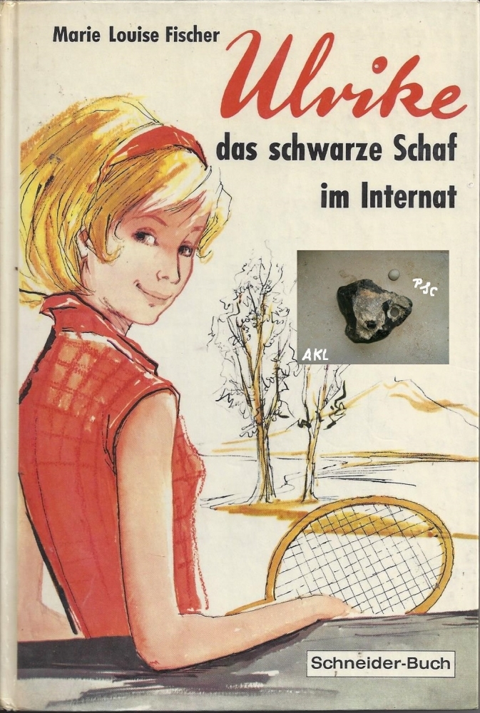 Bild 1 von Ulrike das schwarze Schaf im Internat, Marie Louise Fischer, Schneiderbuch
