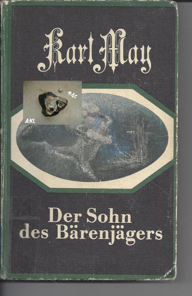 Bild 1 von Der Sohn des Bärenjägers, Karl May, Neues Leben Berlin
