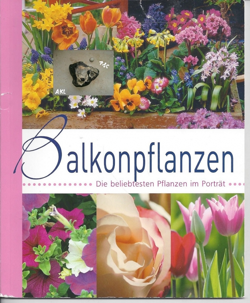 Bild 1 von Balkonpflanzen, die beliebtesten Pflanzen im Porträt