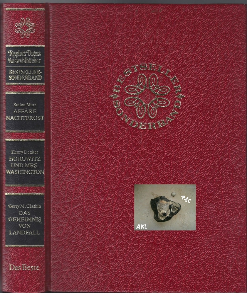 Bild 1 von Affäre Nachtfrost, Horowitz und Mrs. Washington, Das Geheimnis von Landfall 💎