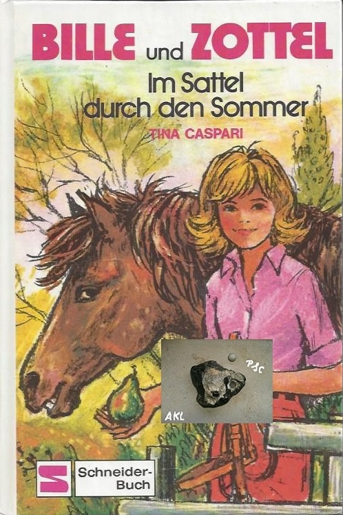 Bild 1 von Bille und Zottel, Im Sattel durch den Sommer, Tina Caspari ✔️