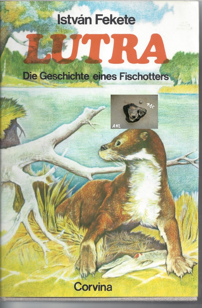 Bild 1 von Lutra, die Geschichte eines Fischotters, Istvan Fekete, Corvina
