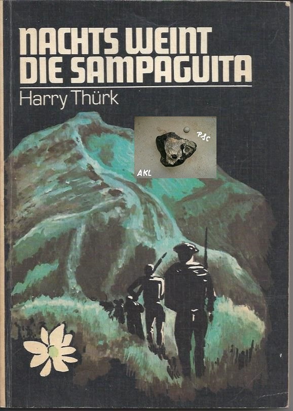 Bild 1 von Nachts weint die Sampaguita, Thürk Harry