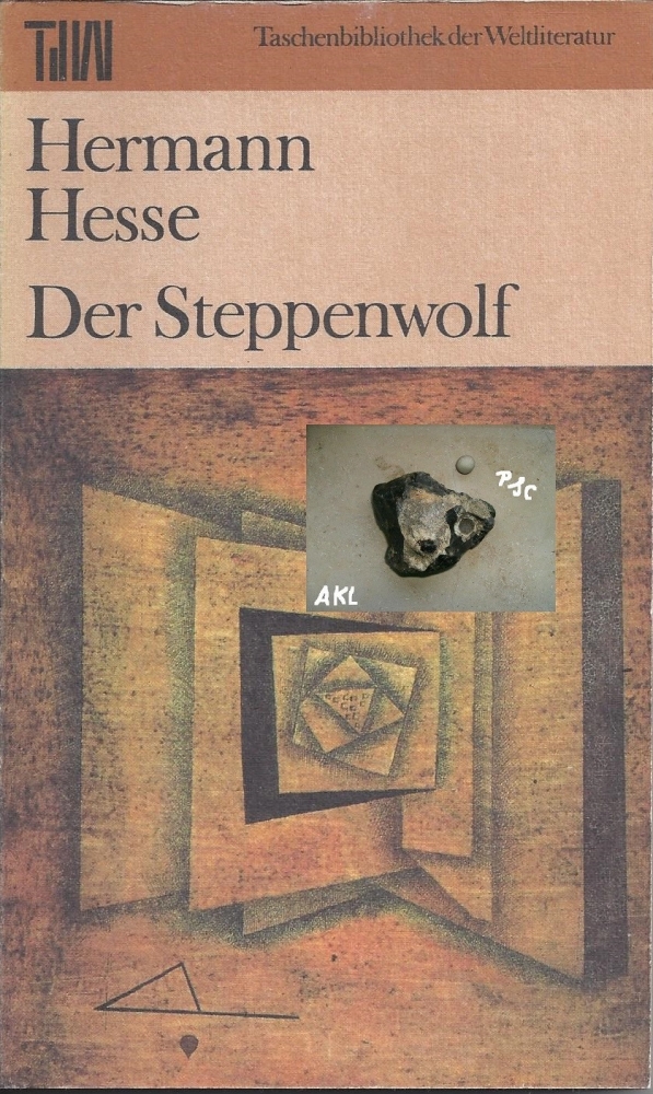 Bild 1 von Der Steppenwolf, Hermann Hesse, Reclam