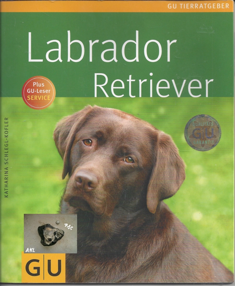 Bild 1 von Labrador Retriever, GU