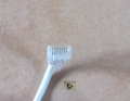 Bild 3 von Cat.5 UTP Patchkabel, zirka 1,10m weißgrau