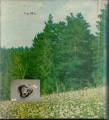 Bild 2 von Die Begegnung mit der Natur, russisch ✔️