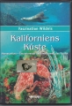 Bild 1 von Kaliforniens Küste, Meereszeiten, DVD