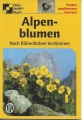 Alpenblumen, bestimmen, finden, kennen ✔️