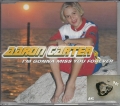 Bild 1 von Aaron Carter, Im gonna miss you forever, Maxi CD