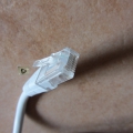 Bild 5 von Cat.5 UTP Patchkabel, zirka 1,10m weißgrau
