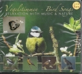 Vogelstimmen, Bird songs, Relexation with music and nature
