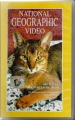 Die Katze der zärtliche Tiger, Die Seelenverwandtschaft, VHS