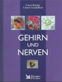 Gehirn und Nerven