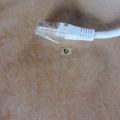 Bild 2 von Cat.5 UTP Patchkabel, zirka 1,10m weißgrau