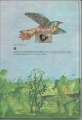 Bild 2 von Der Kuckuck und die Katze, Dieter Mucke, Fotis Zaprasis, Kinderbuchverlag